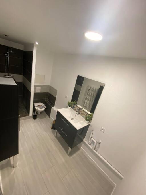 Appartement T2 Centre Ville Dole Dış mekan fotoğraf